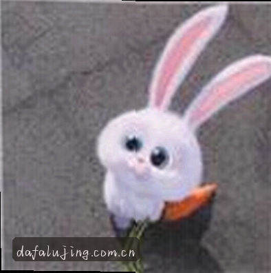刘洋